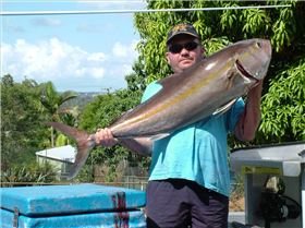 Amber Jack 17kg