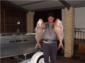 blood sucking father 