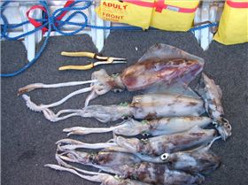 digitals report 21-5-07