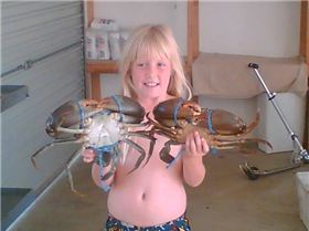 crabsat cabulture river