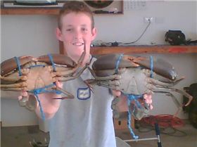 ive got crabs