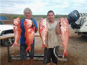 FB 20160607 13 08 26 Saved Picture