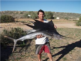 Just another day at Quobba