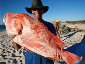 they dont get any bigger than this 