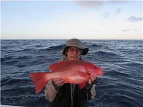 50 miles for the day