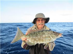 50 miles for the day