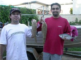 Flat Head with a pinky