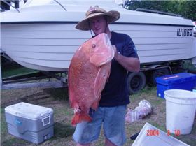 16kg red rainbow beach