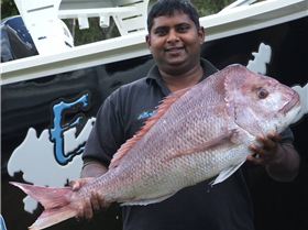 Hard night off Rainbow Beach