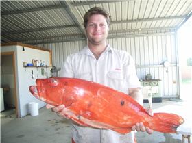 Caught this between the Dhuies