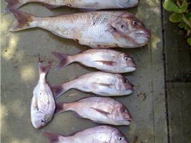 CAUGHT BREAK OF DAWN CHANGE OF TIDE