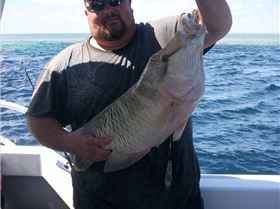 Nice little Gould reef wrasse(yes it was released) 