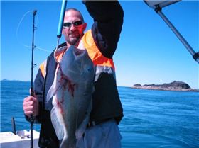 Wiggos biggest bluey to date.