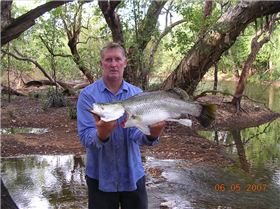 Lakefield Barra (760mm)