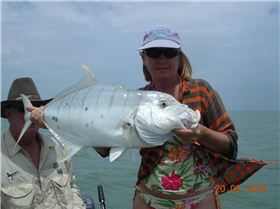 Golden Trevally 