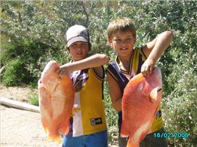 my bro and cuz holding their red emperors