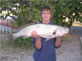 9kg jewfish speared