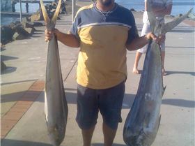 2 good dollys off forster