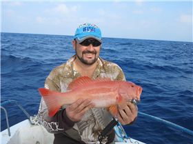 Afternoon fish was a good change up!