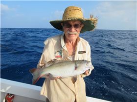 Afternoon fish was a good change up!