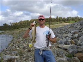Nice 45 cm - maybe 2kg Brown trout