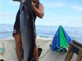 christmas island wahoo