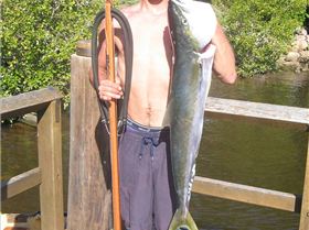 first kingie speared 10kg