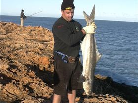 Cobia Qubba Station WA