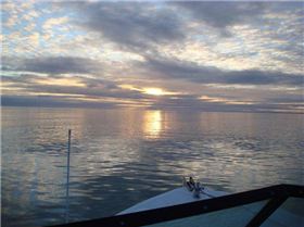 16 Pound Pinky and 3 Sambos on Bloodshot.