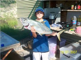Fun to catch trevally 