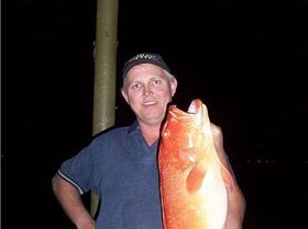  Dampier Archipelago coral trout