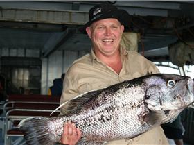 Abrohlas Island 14kg Dhufish