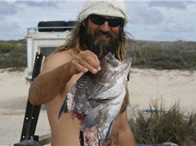 Steep Point WA Sharks