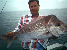 moreton bay plastics snapper