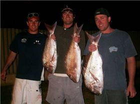 A few out the back of the islands