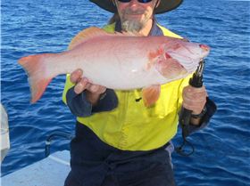 2 for the sharks one for me