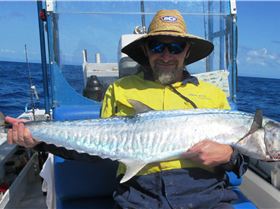 2 for the sharks one for me