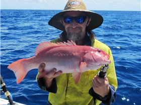 2 for the sharks one for me