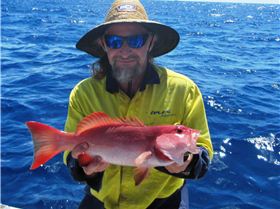 2 for the sharks one for me