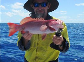 2 for the sharks one for me