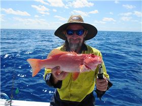 2 for the sharks one for me