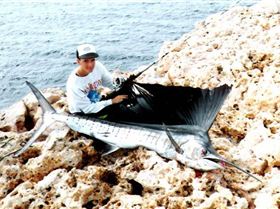 Sailfish i caught from the cliffs of steep point over 10 years ago