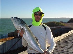 8kg tailor caught sharkbay