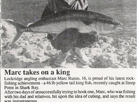 48 pound yellowtail king i caught off steep point