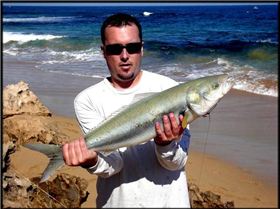 Nice salmon i caught