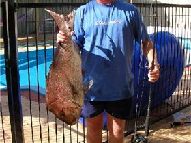 Waynes Snapper off Rotto