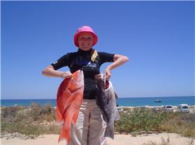 Red Emporer (9kg), Cod (6.5kg)