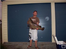 25lb Cod taken on Live bait