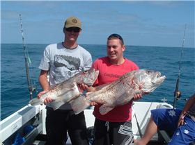 good day southwest wa