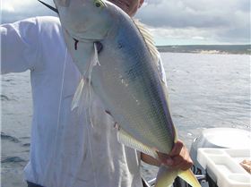 Not a bad days fishin in the sw!